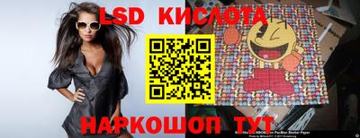 дживик Камышлов