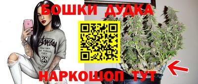 дживик Камышлов
