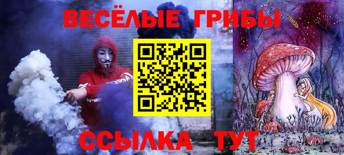 Псилоцибиновые грибы Cubensis Лысьва